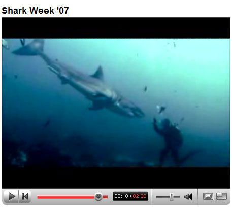 sharkweek.jpg